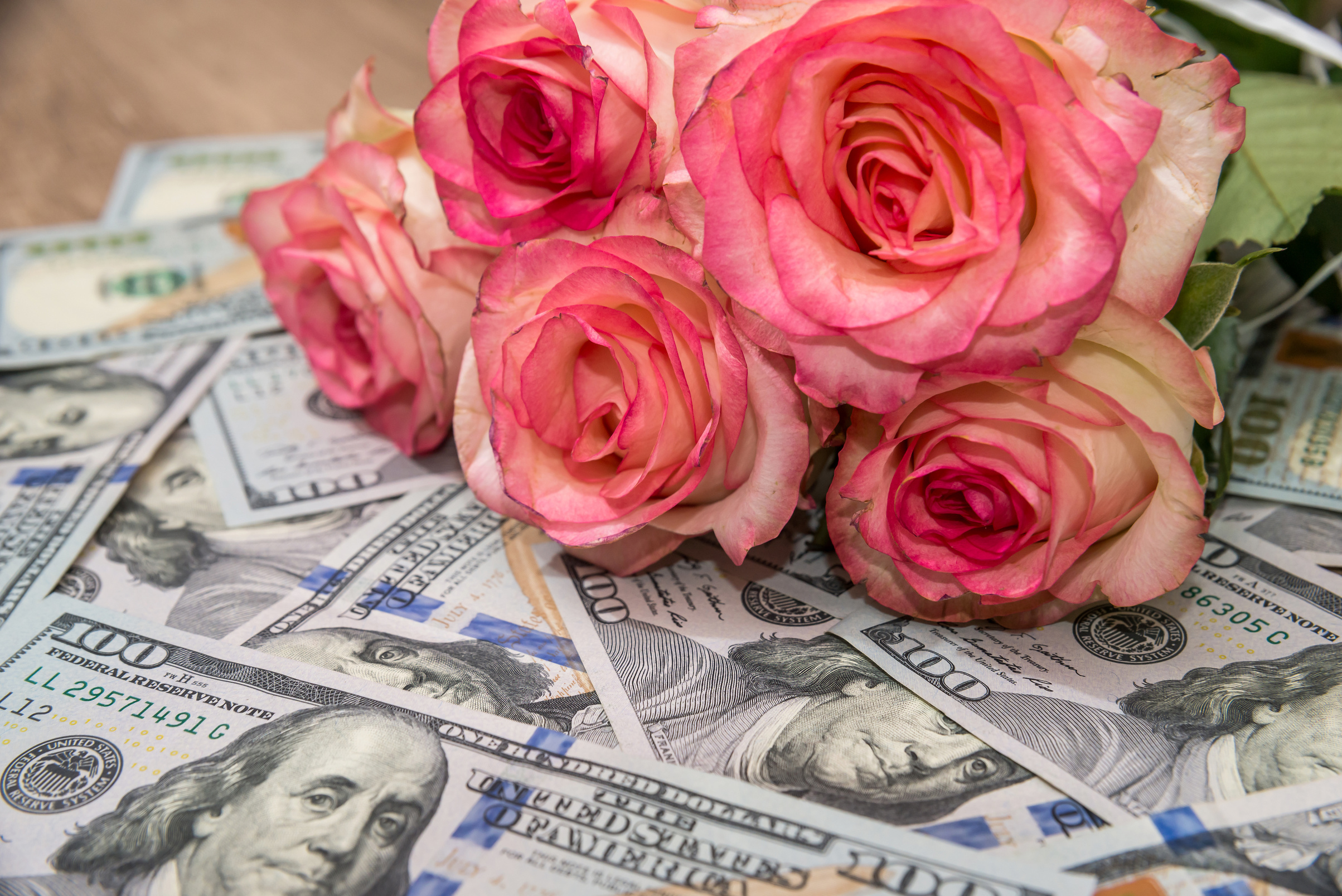 Beautiful rose and money